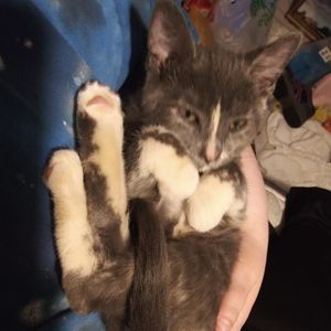 Meet your Posher, Lena